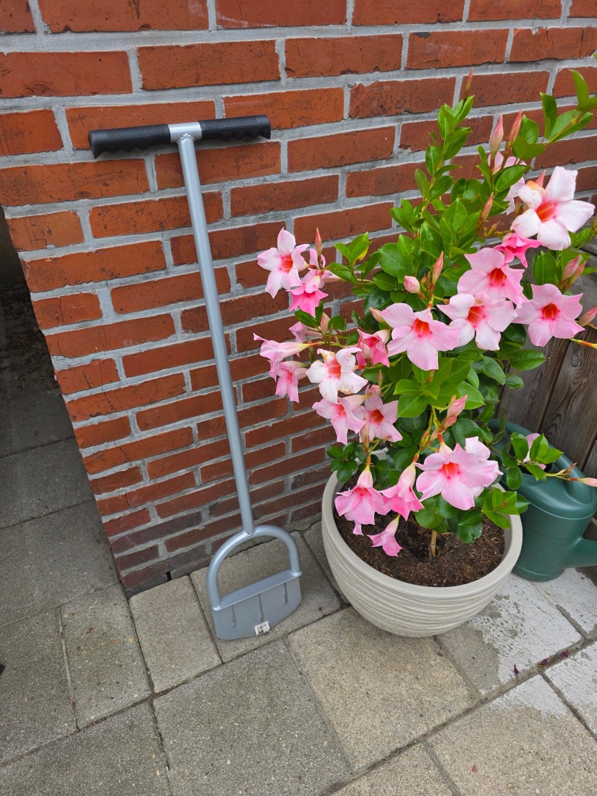 Graskant steker, Ophalen, Zo goed als nieuw, Onkruidsteker, Talen Tools