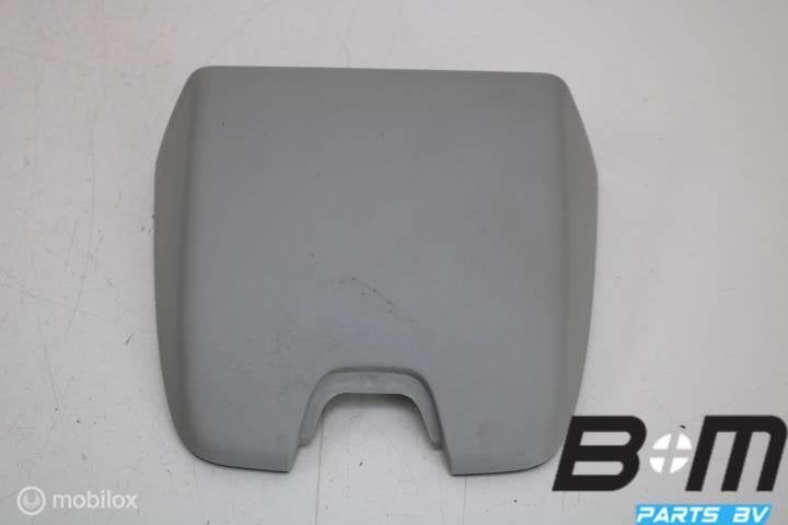 Afdekkap hemel Audi A3 8V 8V0907299, Gebruikt