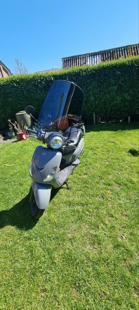 Snorbrommer Sym Fiddle 2.  Eerste eigenaar, Ophalen, Gebruikt, Overige modellen, Benzine