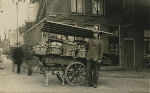 Vervoer-Beroepen-Foto-O-70   Enkhuizen-Repro -Hondenkar, Ophalen of Verzenden, 1980 tot heden, Nieuw, Overige onderwerpen