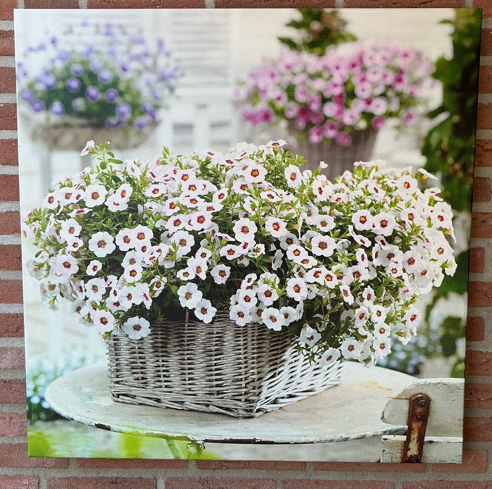 Fleurige bloemenmand, Tuin en Terras, Tuinwanddecoratie, Ophalen, Gebruikt