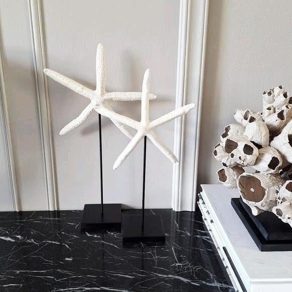 Mooie grote zeesterren op voet vakkenkast chique, Huis en Inrichting, Nieuw, Ophalen of Verzenden, X, X