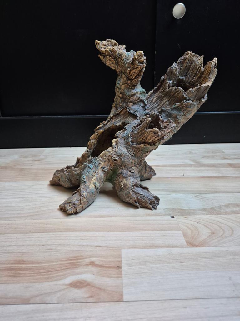 Boomstam ornament., Ophalen