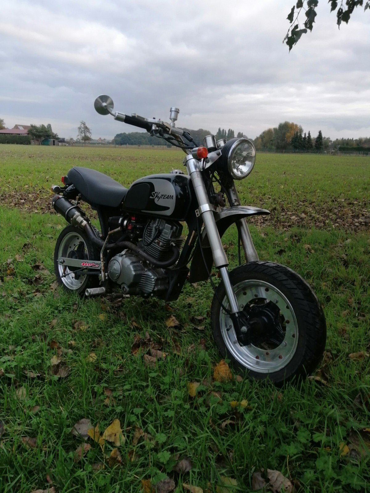skyteam cobra 125cc, Ophalen of Verzenden