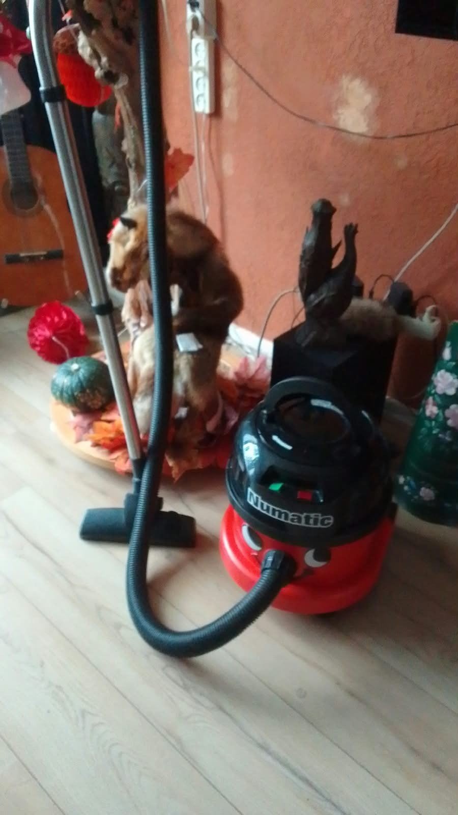 numatic  henry stofzuiger, Ophalen of Verzenden, Zo goed als nieuw