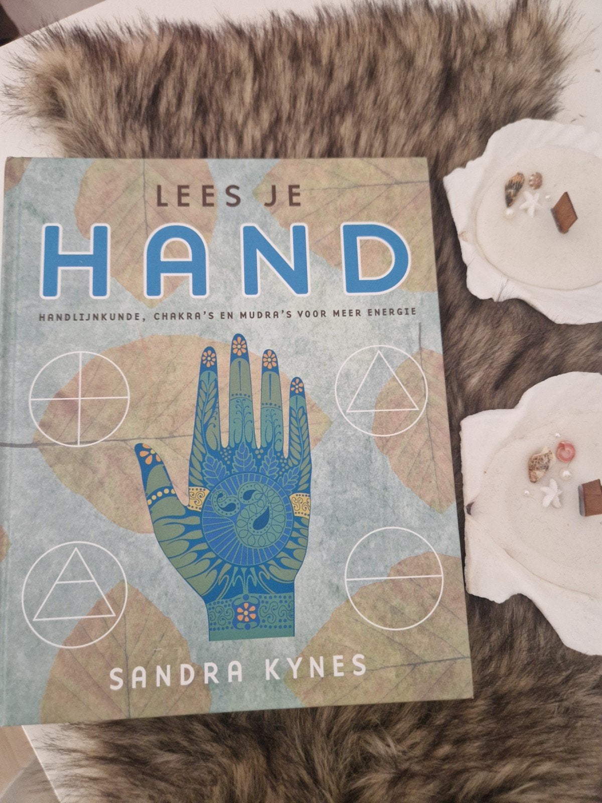 Lees je hand: Handlijnkunde, chakra's en mudra's 97894013010, Achtergrond en Informatie, Spiritualiteit algemeen, Sandra Kynes