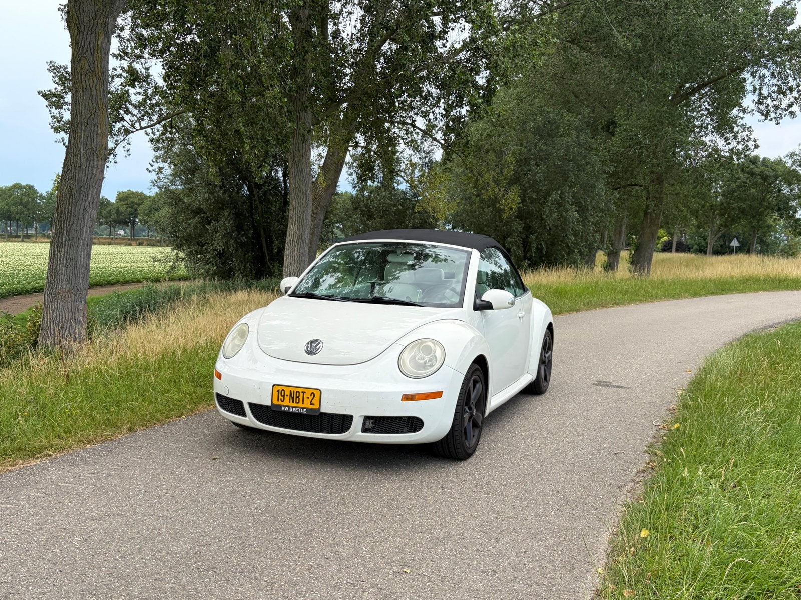 Volkswagen Beetle Beetle 2007 Wit, 450 kg, Cabriolet, 4 stoelen, Wit