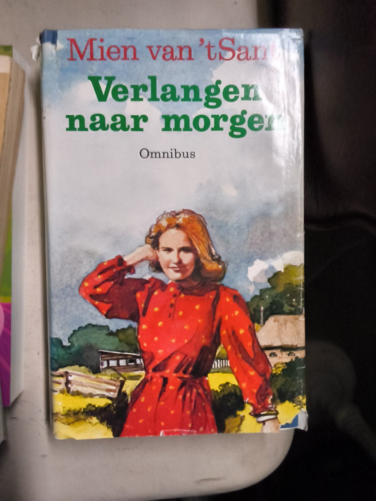 Diverse boeken: romans, thrillers en meer, Ophalen of Verzenden, Gelezen