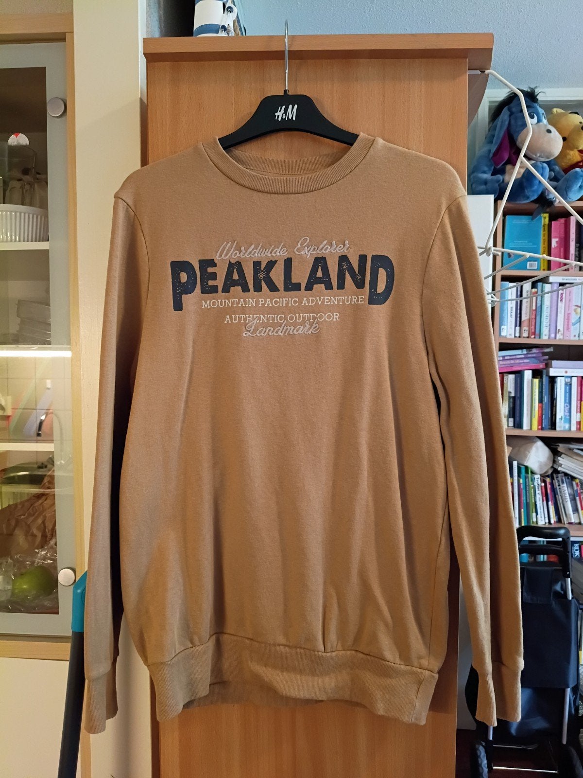 Leuke trui maat S c&a, Kleding | Heren, Bruin, Zo goed als nieuw, Maat 46 (S) of kleiner, C&A