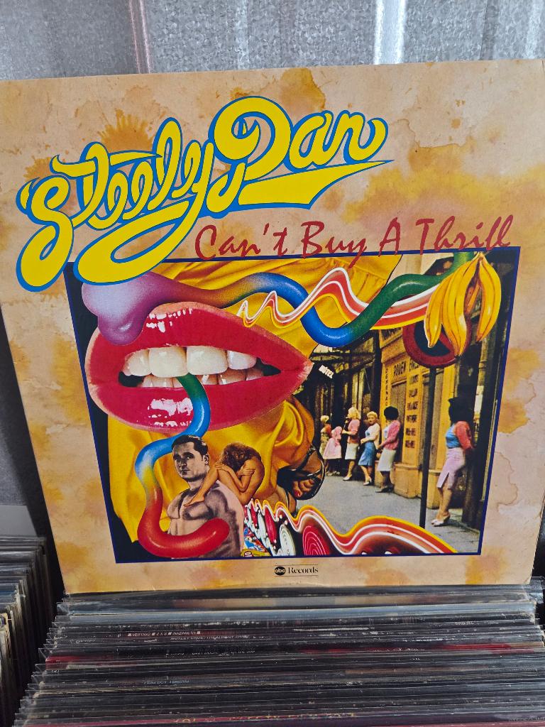 Vinyl lp STEELY DAN: CAN'T BUY A THRILL, Cd's en Dvd's, Vinyl | Rock, Gebruikt, Ophalen of Verzenden, 12 inch, Poprock