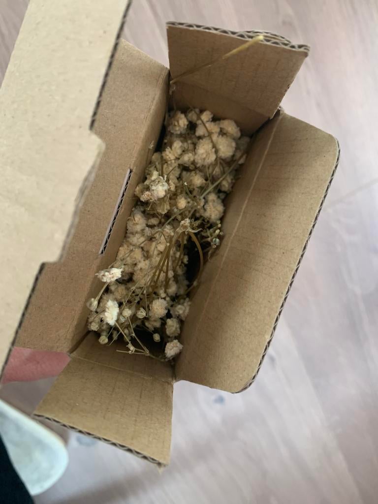 Doosje met gedroogde gipskruid, Ophalen of Verzenden, Zo goed als nieuw