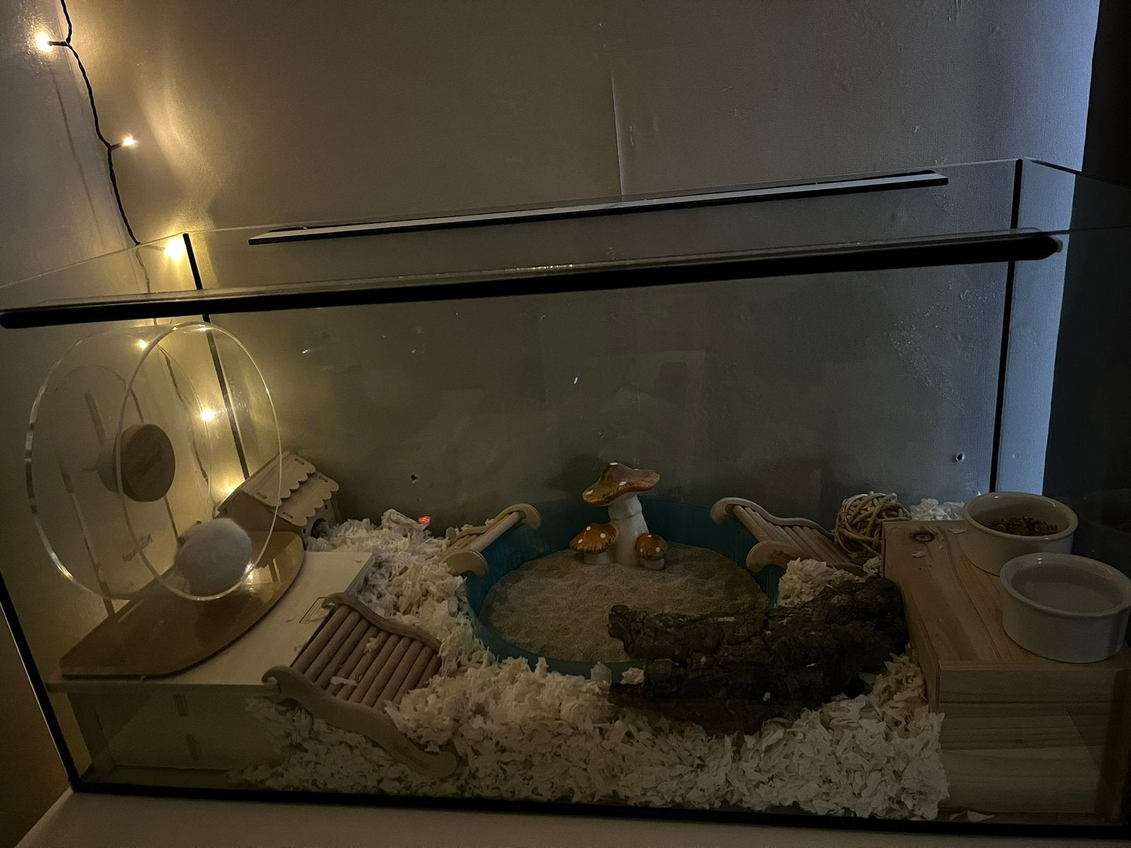 Terrarium hamster 80 cm, Dieren en Toebehoren, Kooi, Gebruikt, Hamster, 75 tot 110 cm
