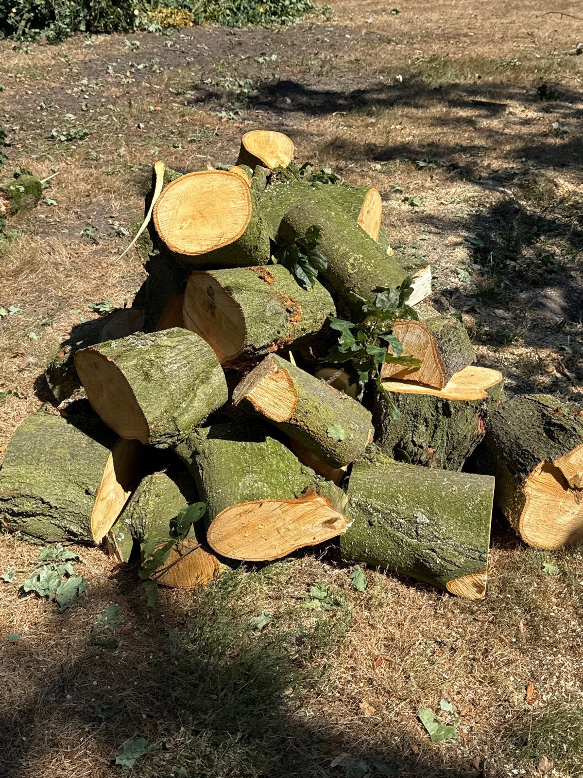 Kloofblokken van lindeboomhout, Tuin en Terras, Ophalen, Overige houtsoorten, Blokken
