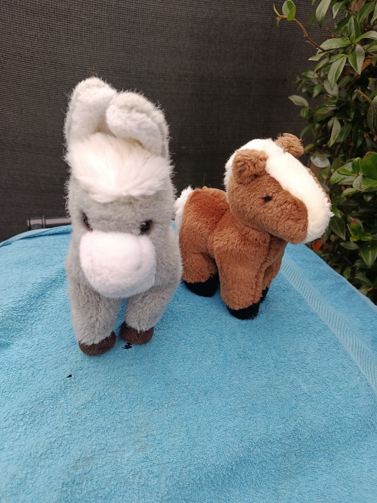Schattige knuffels: Ezel en Paard, Ophalen