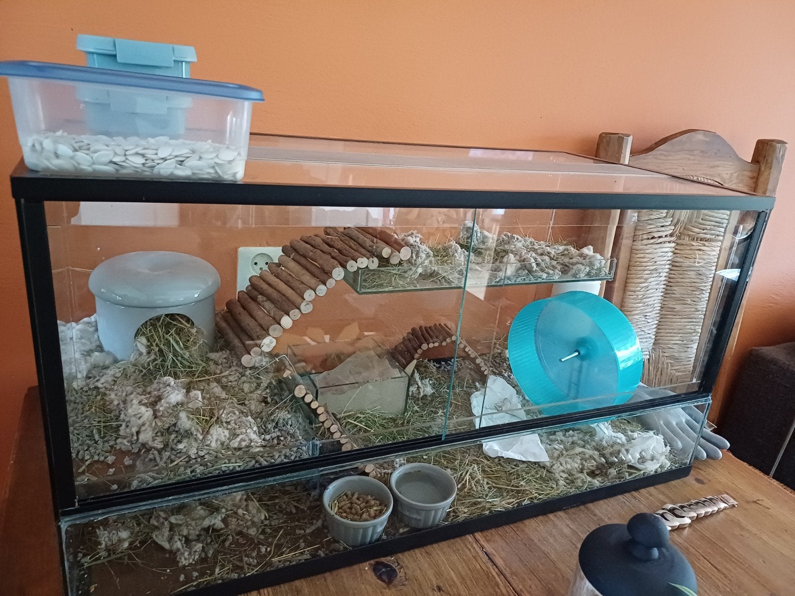 terrarium hamster lengte 80cm  diepte 40 cm hoogte 40 cm, Nieuw, 75 tot 110 cm, Ophalen, Minder dan 60 cm