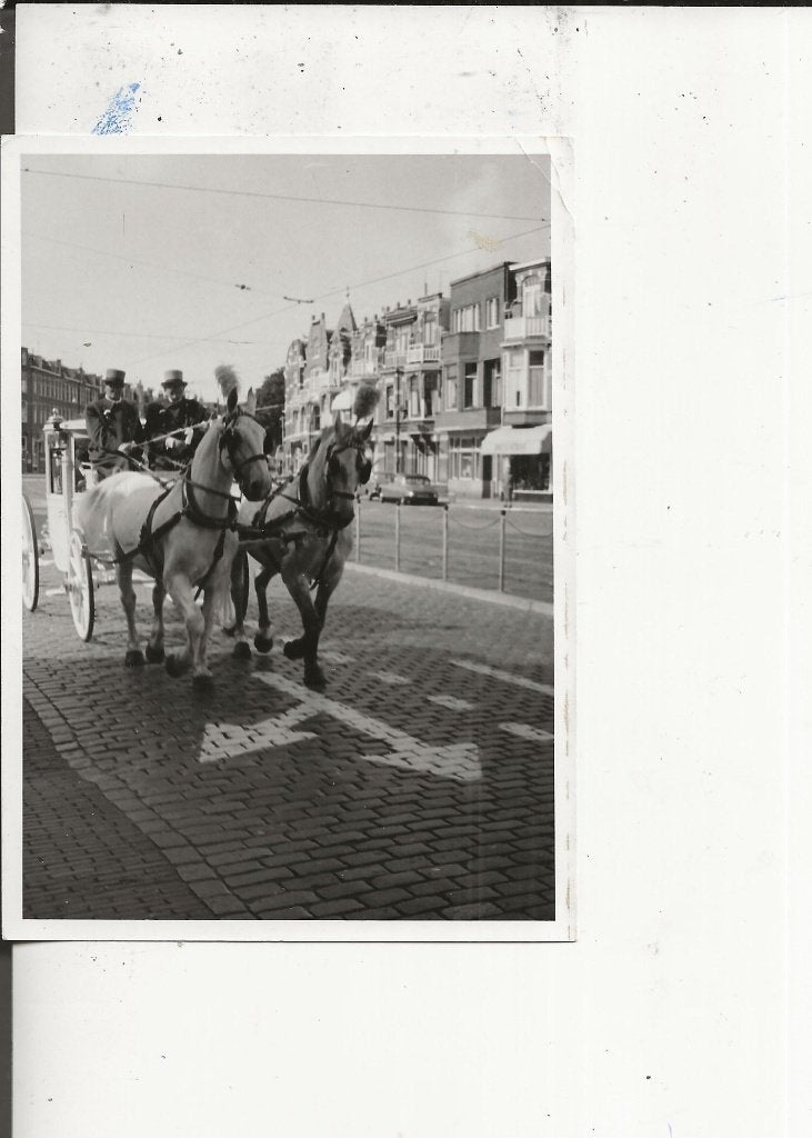 Den Haag Beeklaan Trouwkoets  Foto, Ophalen of Verzenden, Ongelopen, Zuid-Holland