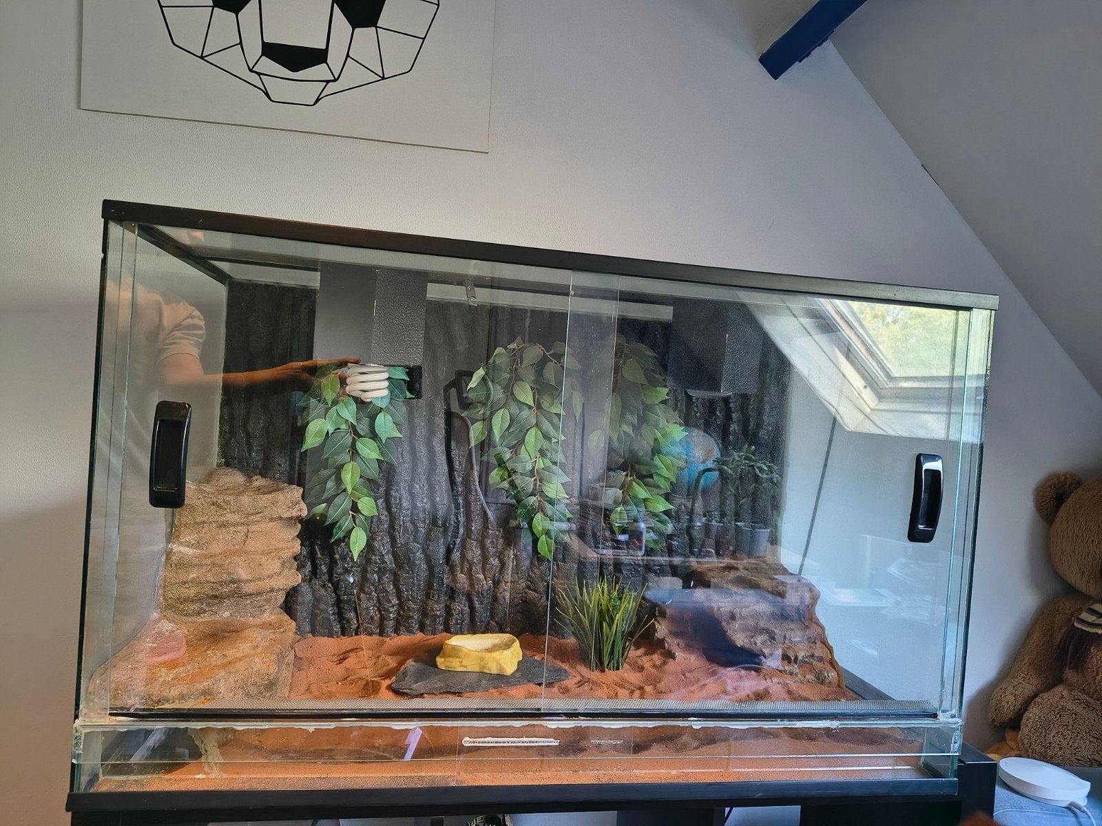 terrarium met schuifdeuren van 100 bij 60 bij 50, Ophalen, Zo goed als nieuw, Terrarium of Paludarium