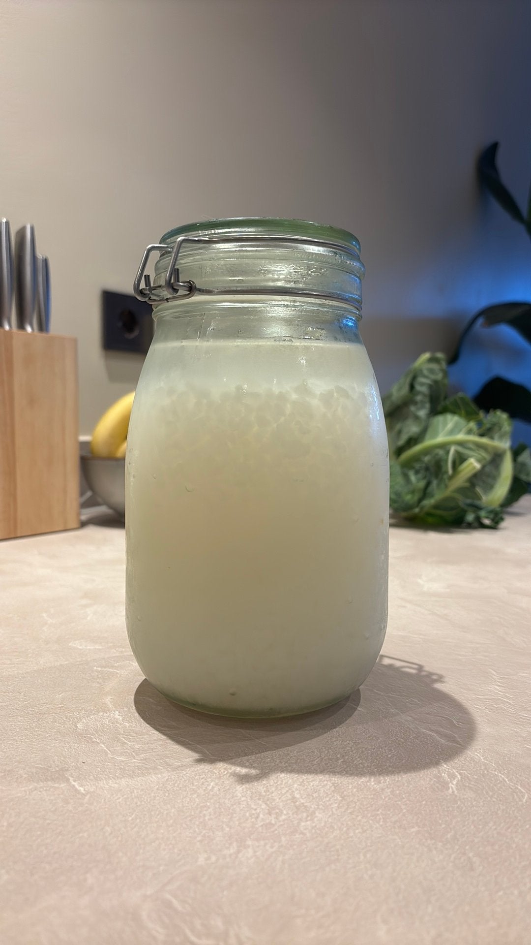 Waterkefir parels (gratis af te halen), Ophalen