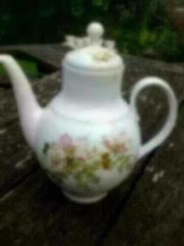 Koffiekan van Royal Schwabap, Ophalen of Verzenden