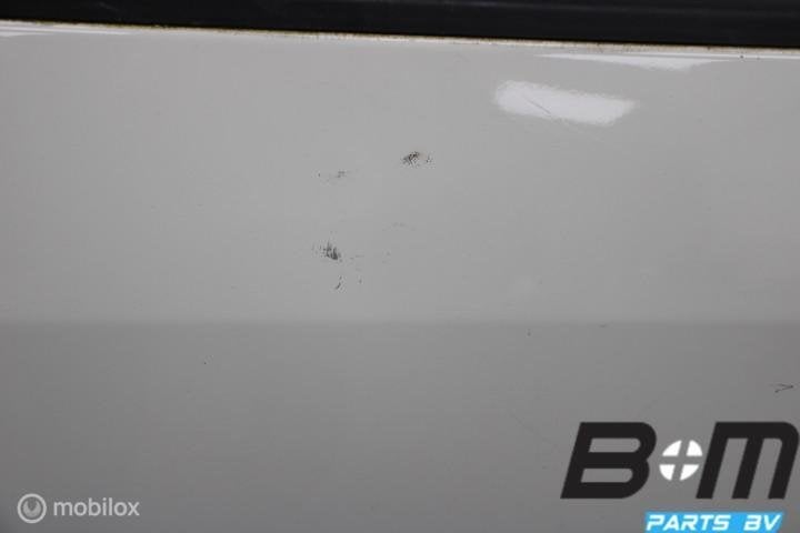 Portier links VW Caddy 2K 2005 2K0831055B, Gebruikt
