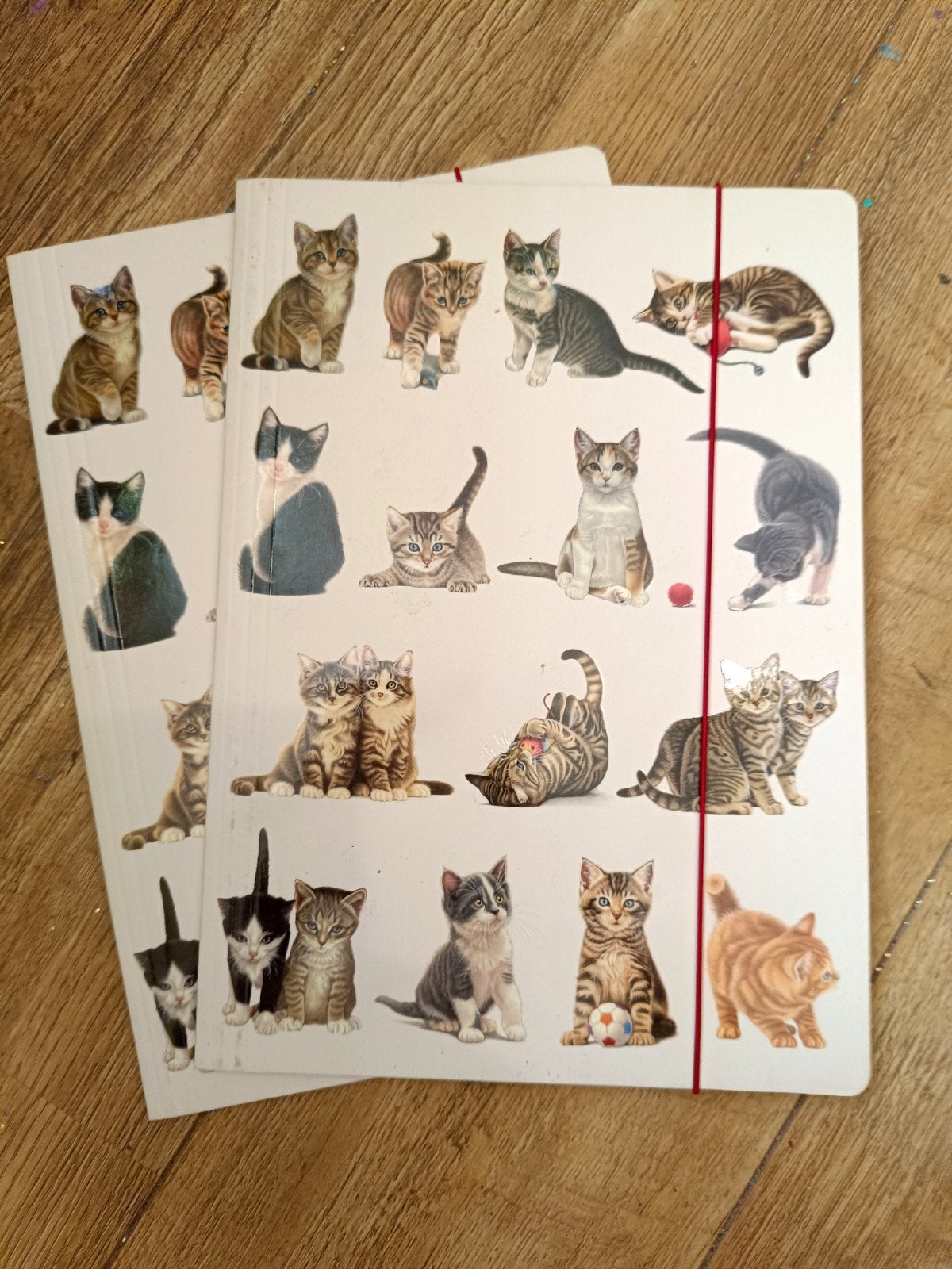 Franciens katten, Ophalen of Verzenden