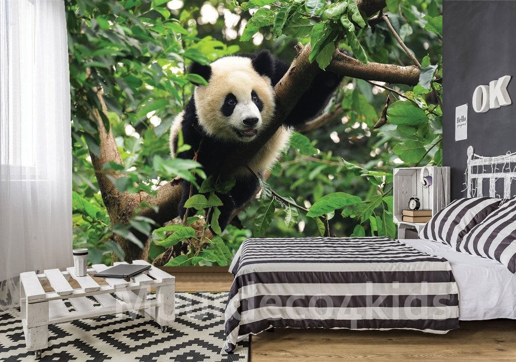 Jungle fotobehang Panda, vlies behang Afm. 368 x 254 cm, Ophalen of Verzenden, Fotobehang