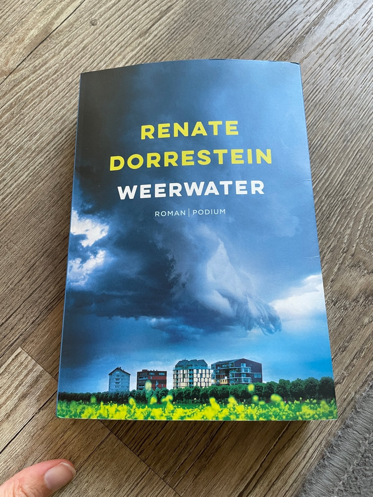 Renate Dorrestein - Weerwater (Roman), Ophalen of Verzenden, Zo goed als nieuw, Nederland