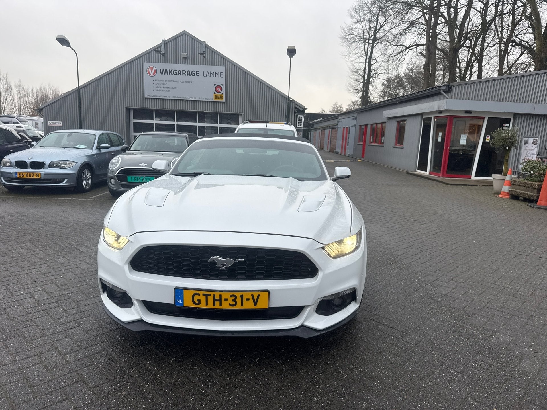 Ford Mustang Convertible 2.3 EcoBoost 317 pk, Auto's, Automaat, Dealer onderhouden, Achterwielaandrijving, Gebruikt
