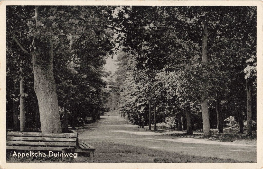 Appelscha Duinweg L3092, Ophalen, 1940 tot 1960, Ongelopen, Friesland