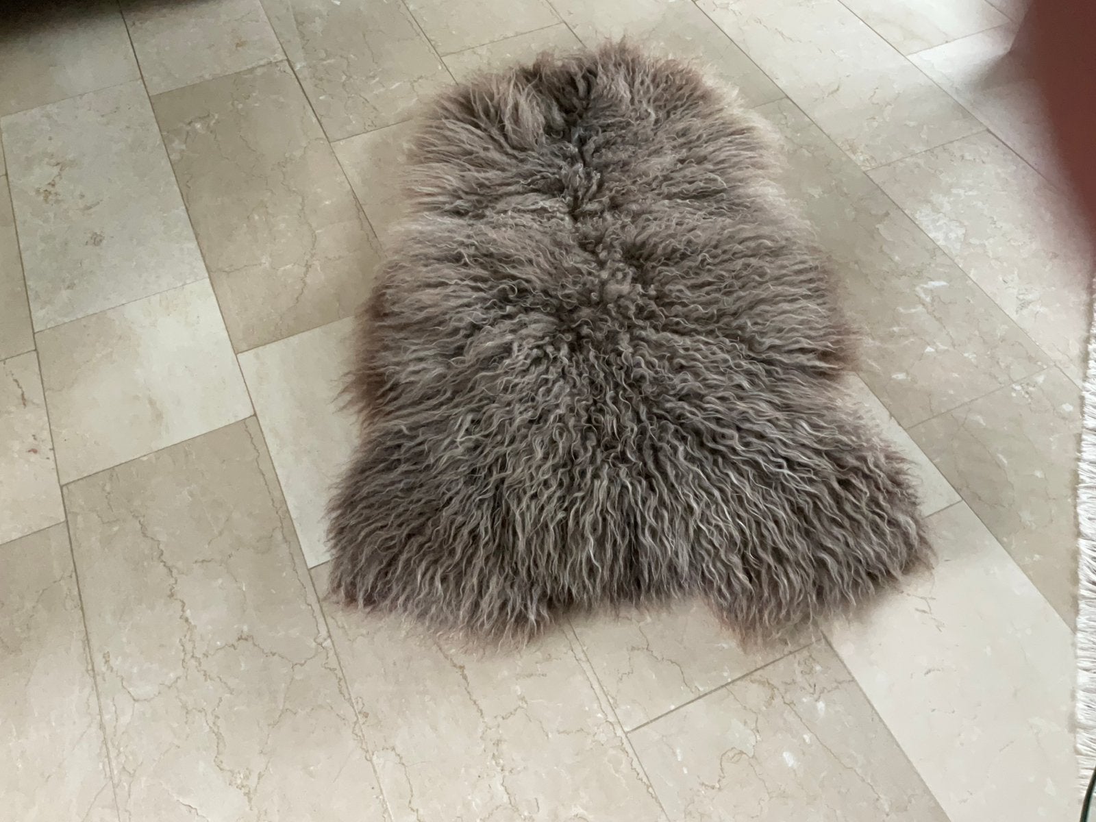 Nieuwe schapenvacht uit Zweden  Gotland pels 120 x 80 cm, 100 tot 150 cm, Nieuw, 50 tot 100 cm, Ophalen of Verzenden