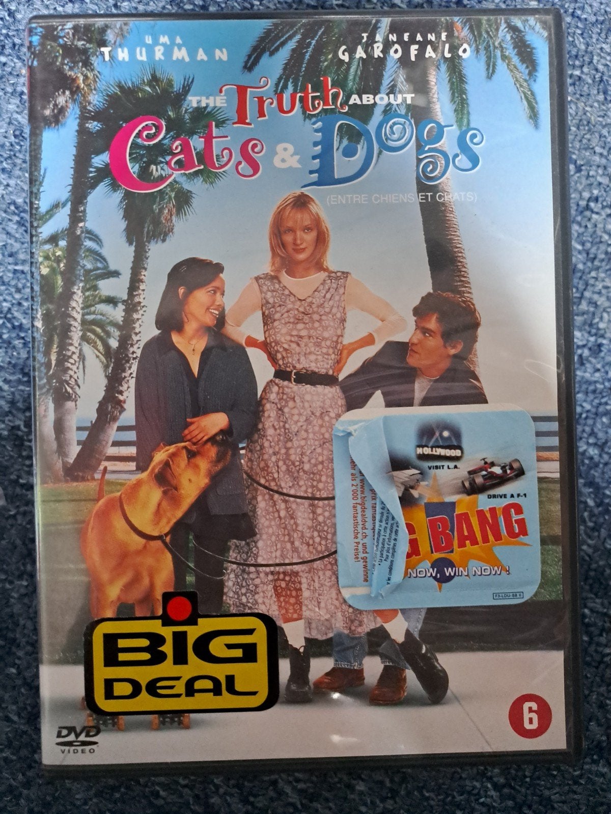 The truth about cats and dogs (dvd), Alle leeftijden, Ophalen of Verzenden, Zo goed als nieuw