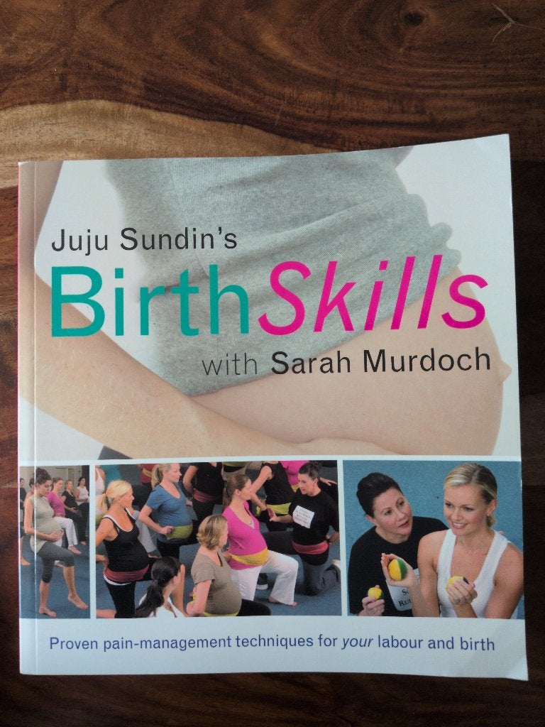 Birth Skills (Engelstalig boek over pijnmanagement), Boeken, Gelezen, Zwangerschap en Bevalling, Juju Sundin, Ophalen of Verzenden