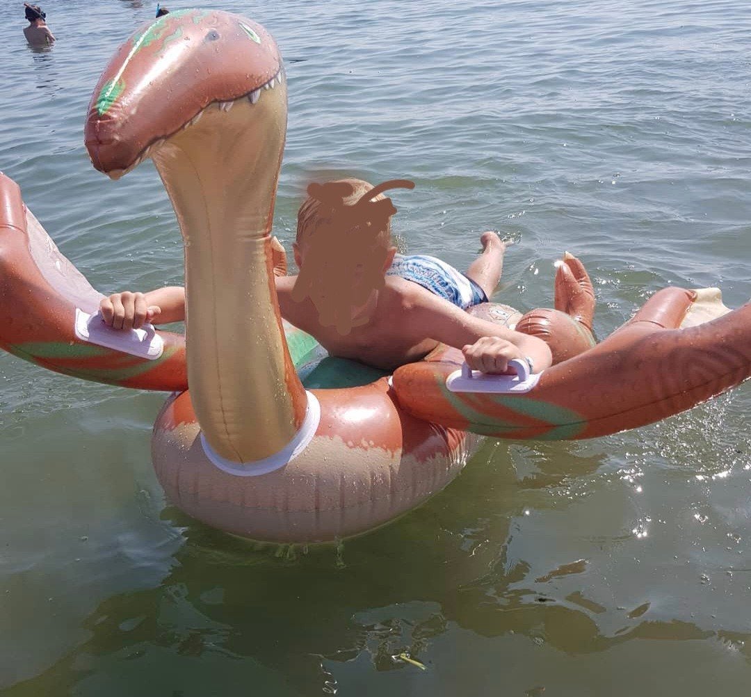 te koop opblaasbare dinosaurus voor het water, Ophalen, Gebruikt