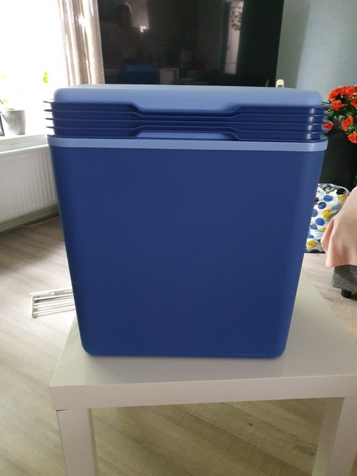 Handige koelbox voor onderweg of op de camping, Ophalen of Verzenden, Gebruikt, Koelbox, Koelelement