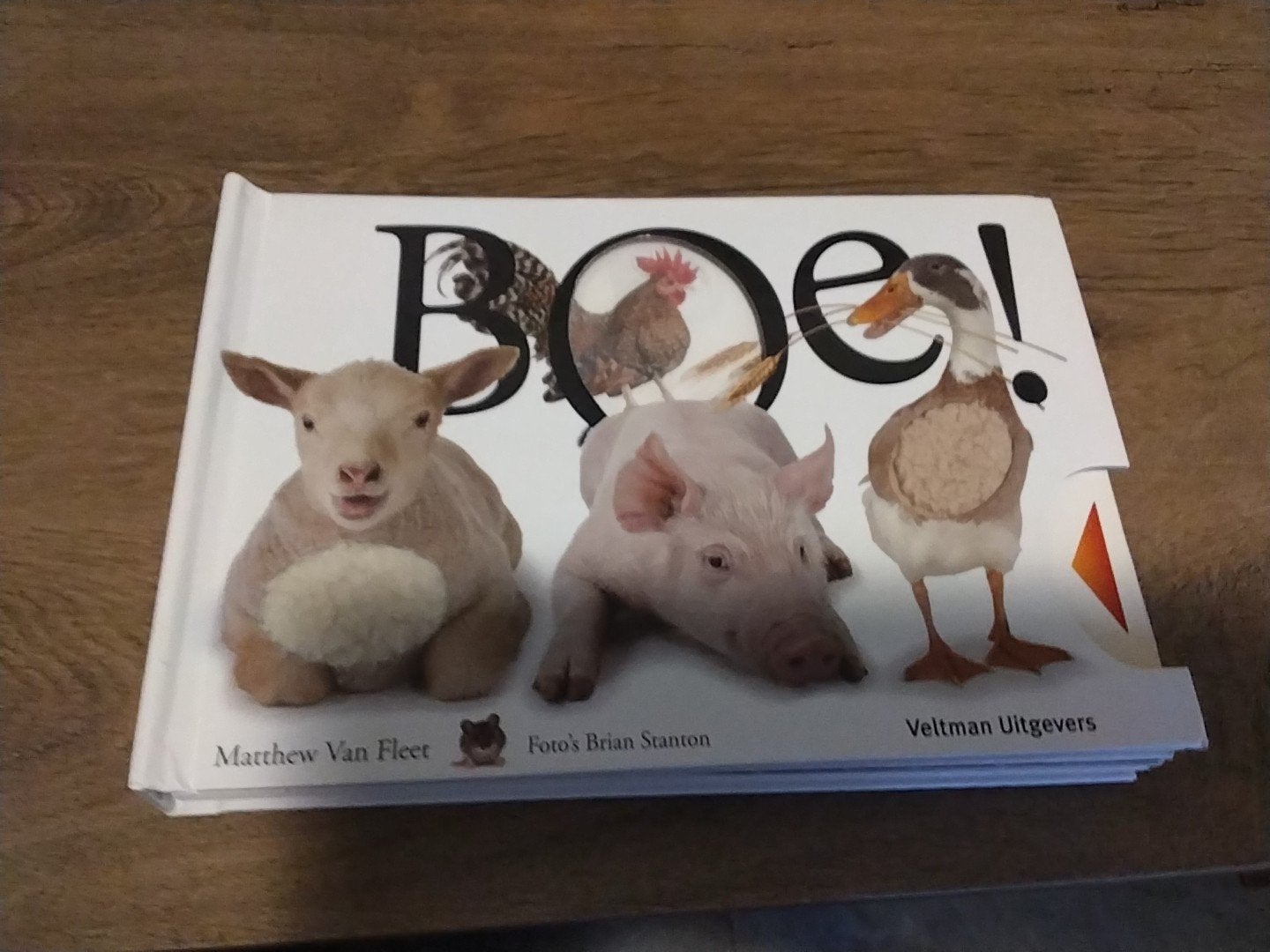 Matthew van vleet. boe € 5, Boeken, 5 of 6 jaar, Fictie algemeen, Jongen of Meisje, Voorleesboek
