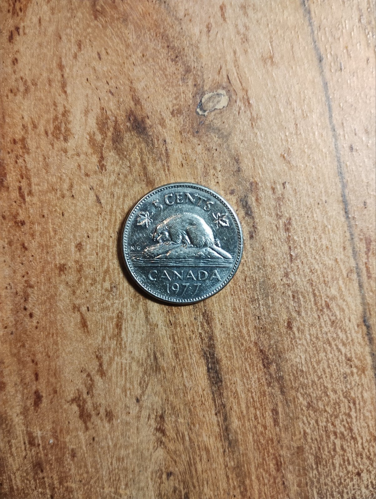 Canada 5 Cent Munt 1977 (M-0063), Ophalen of Verzenden, Noord-Amerika, Losse munt