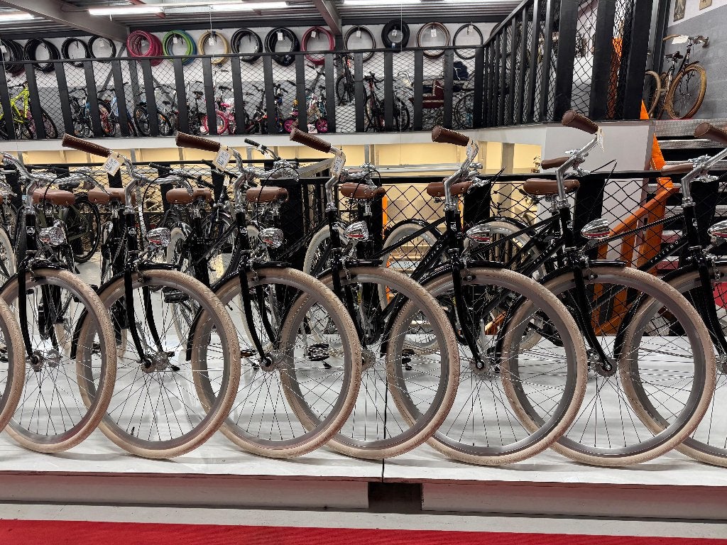 Altec Palermo Dames en Heren met of zonder versnellingen, Altec, Budget Bike XL, Info@budgetbike.nl, Nieuw
