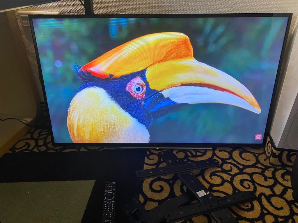 Sony Bravia 48 inch, Audio, Tv en Foto, Televisies, Ophalen, Zo goed als nieuw, 100 Hz, Sony