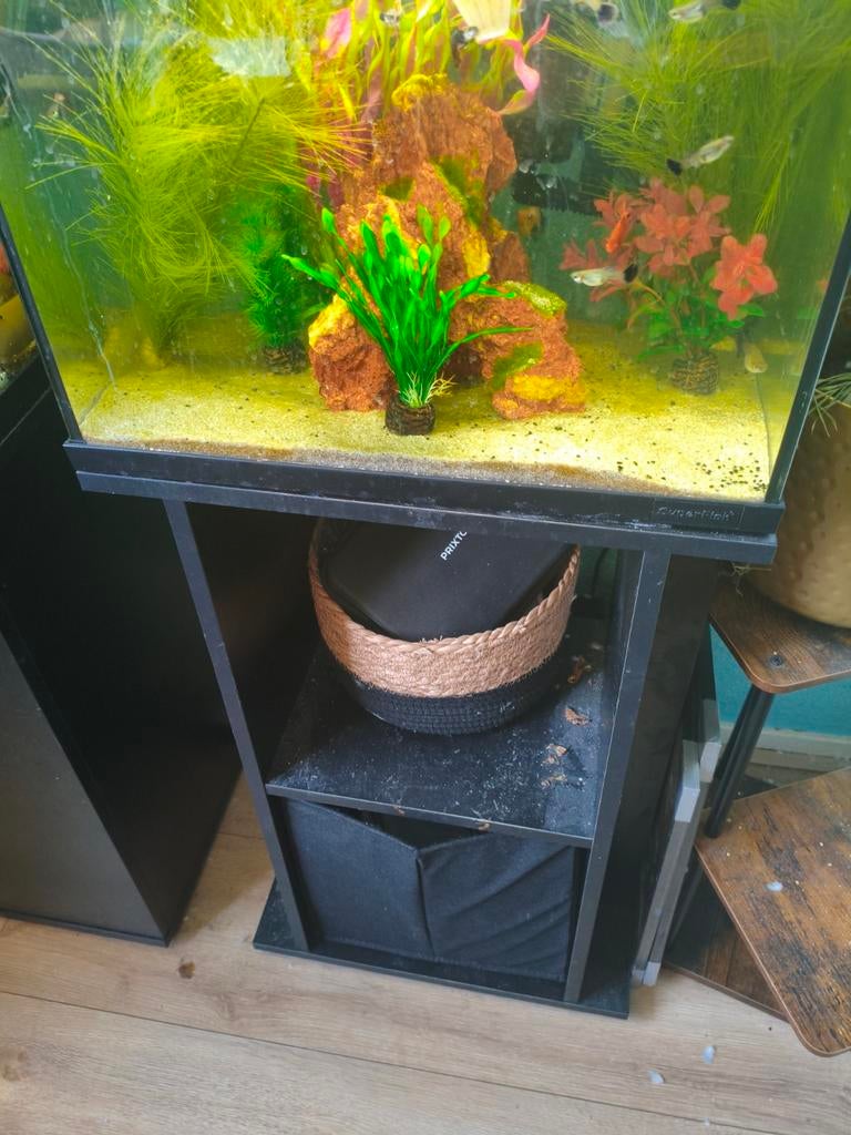 Aquarium 60 liter, Ophalen, Gevuld zoetwateraquarium