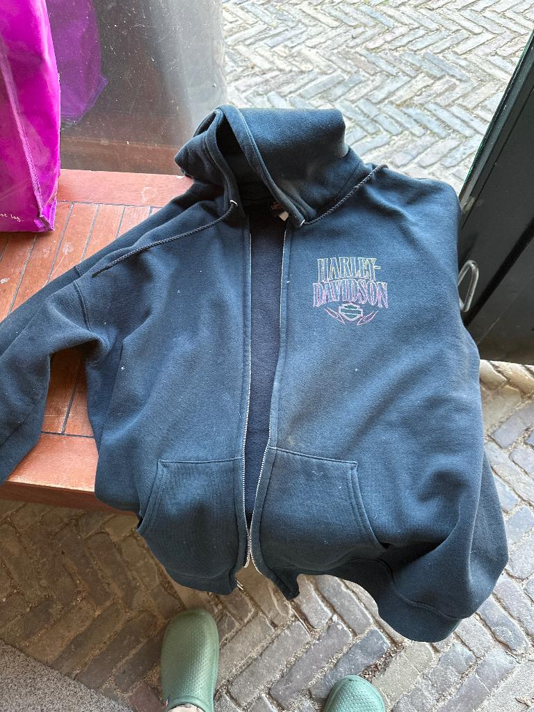 Harley Hoodie, Jas | textiel, Dames, Harley Davidson, Ophalen of Verzenden