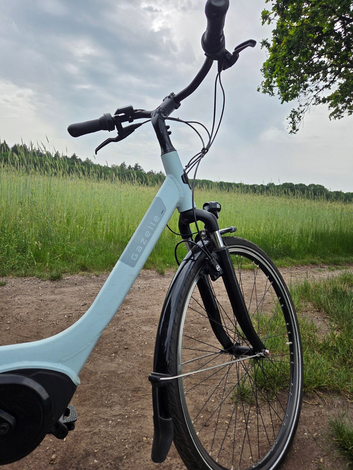 Gazelle Paris C7 blauw ice blue dames fiets 57 inch, Ophalen of Verzenden, Gazelle