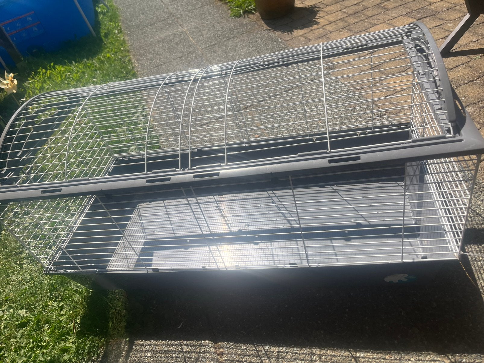 Caviahok, Kooi, Cavia, Ophalen, Minder dan 60 cm