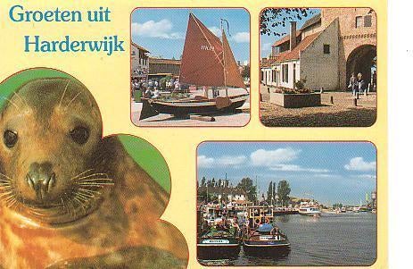 Ansichtkaart	Harderwijk	4-luik, Verzenden, 1960 tot 1980, Gelopen, Gelderland