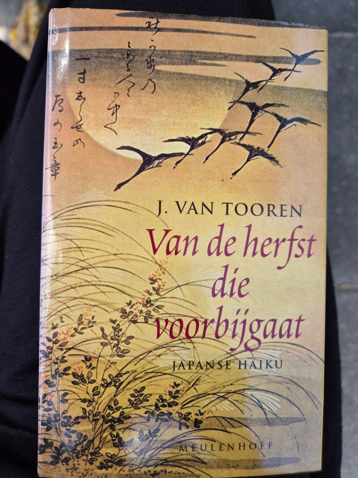 Van de herfst die voorbijgaat - Japanse Haiku, Ophalen of Verzenden, Gelezen, J. van Tooren, Eén auteur