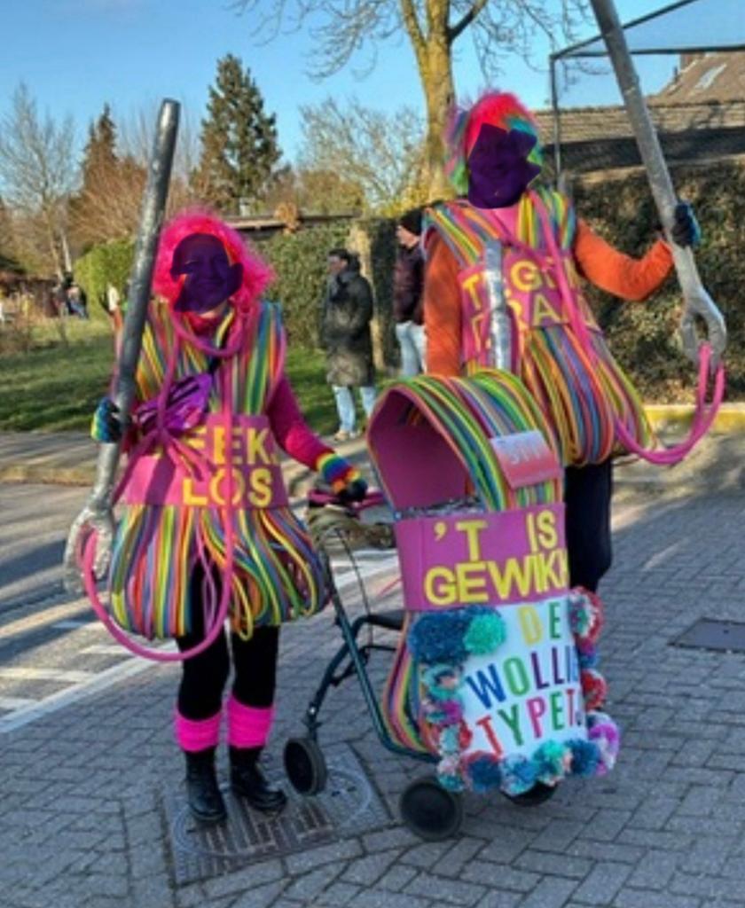 3 bollen wol, leuk voor een kleine loopgroep, Maat 38/40 (M), Carnaval, Ophalen of Verzenden, Zo goed als nieuw