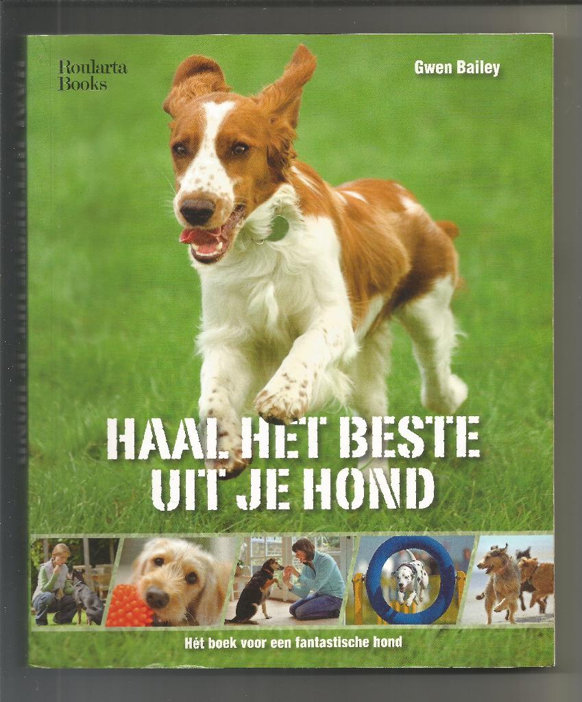 Haal het beste uit je hond - Gwen Bailey, Ophalen of Verzenden, Nieuw, Honden