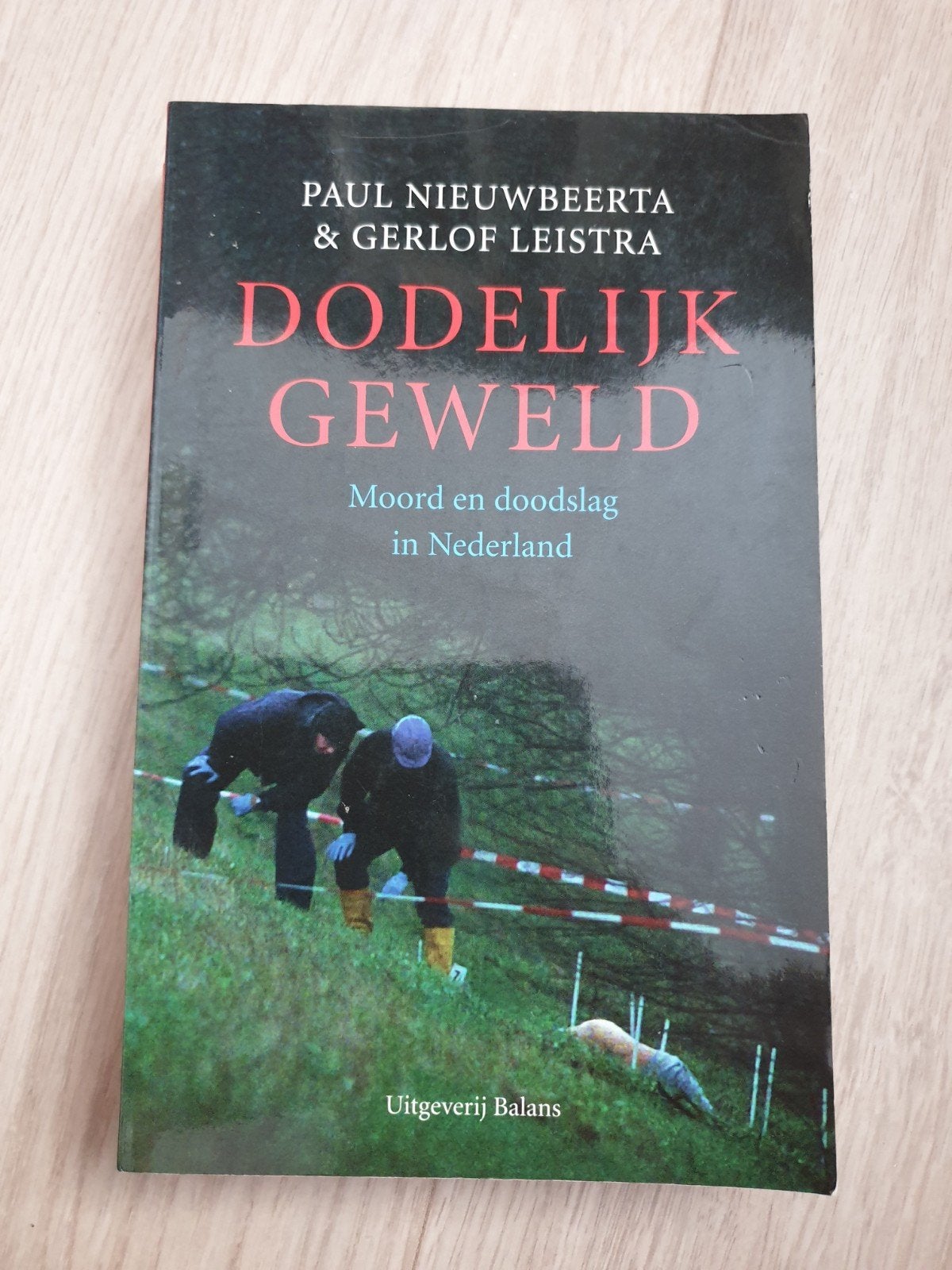 DODELIJK GEWELD: Moord en doodslag in Nederland, Boeken, Ophalen of Verzenden, Gelezen, Paul Nieuwbeerta & Gerlof Leistra