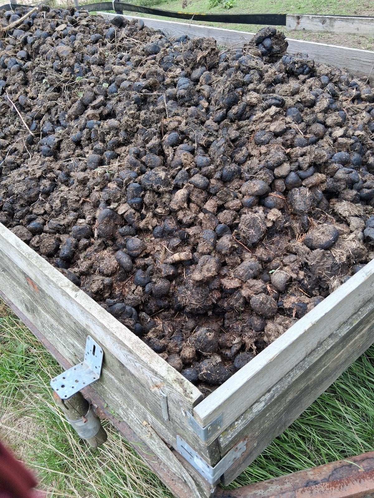 Verse paardenmest voor uw tuin, Ophalen