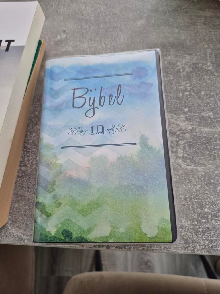 Bijbel met kleurrijke omslag, Ophalen of Verzenden, Diverse