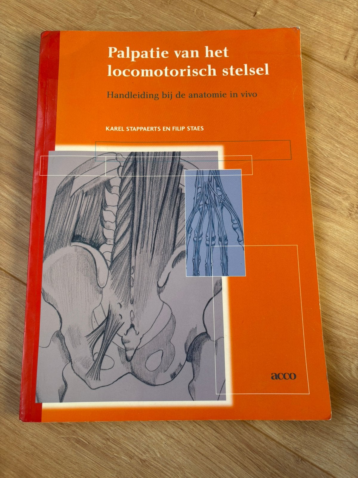 Palpatie van het locomotorisch stelsel, Boeken, Ophalen of Verzenden, Beta, Zo goed als nieuw, HBO
